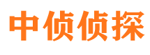 岑巩侦探公司